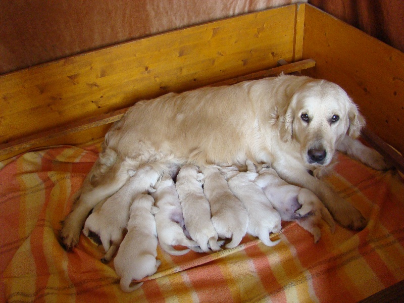 EGIDE et SES BEBES